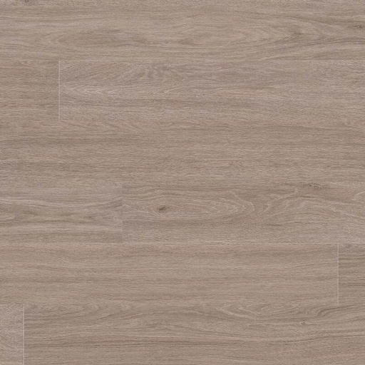 [VTGBLEELM6X48-2MM-12MIL] Glenridge Bleached Elm